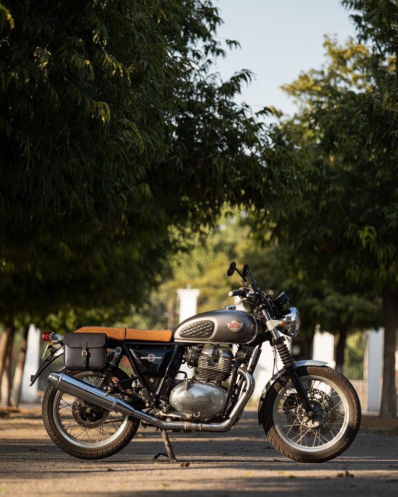 classic pannier - Image 22