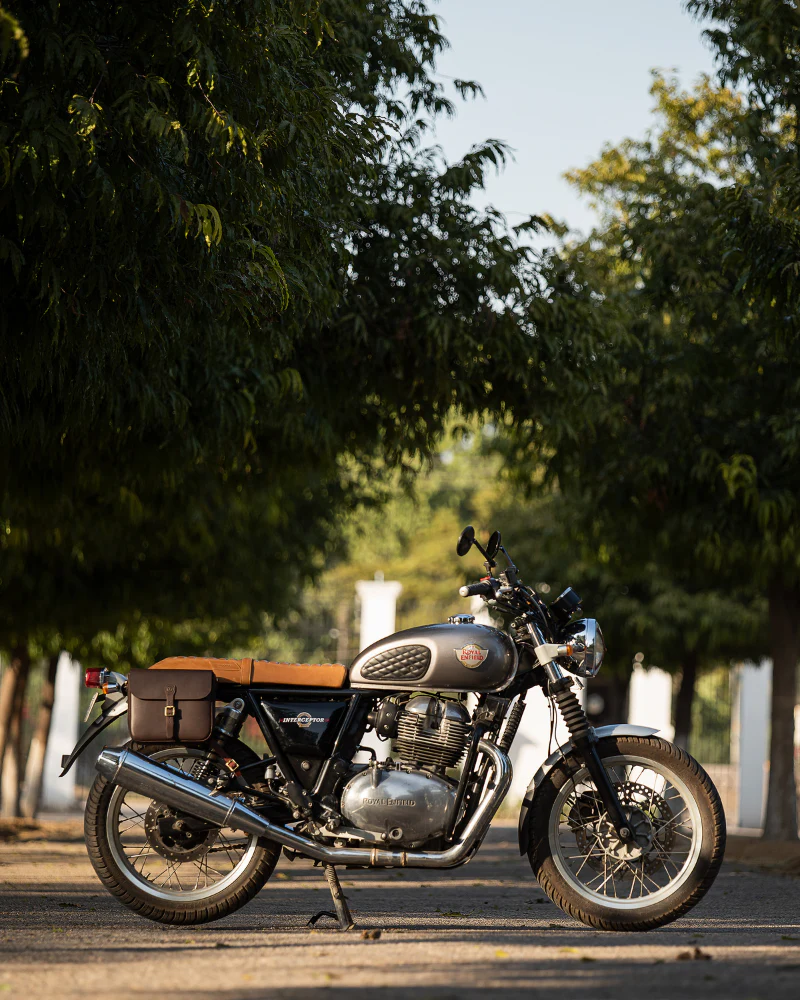 classic pannier - Image 36