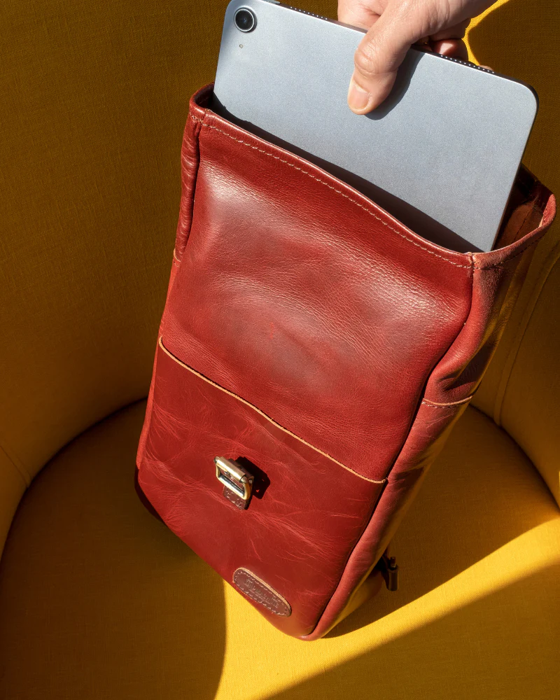 mini pannier - Image 3