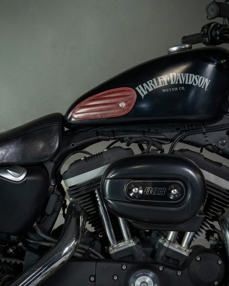 tank pads mini leather classic stripes - Image 28