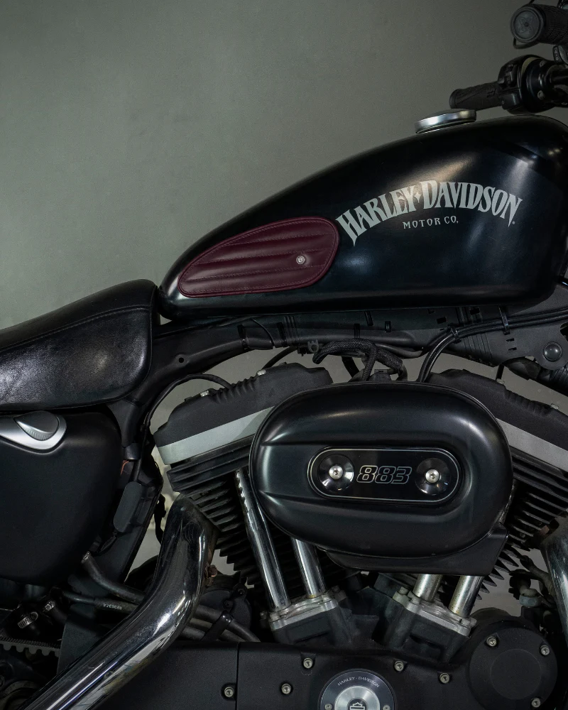 tank pads mini leather classic stripes - Image 5